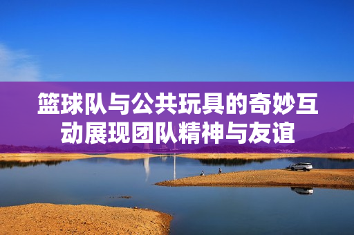 篮球队与公共玩具的奇妙互动展现团队精神与友谊