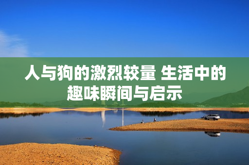 人与狗的激烈较量 生活中的趣味瞬间与启示