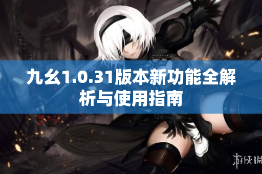 九幺1.0.31版本新功能全解析与使用指南