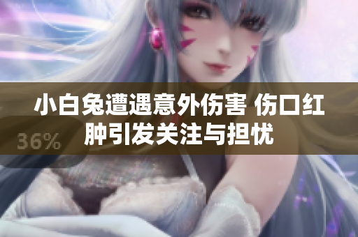 小白兔遭遇意外伤害 伤口红肿引发关注与担忧