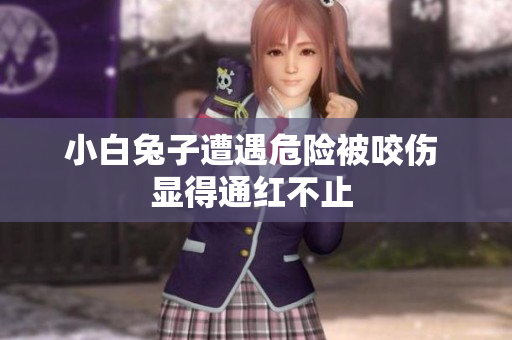 小白兔子遭遇危险被咬伤 显得通红不止 