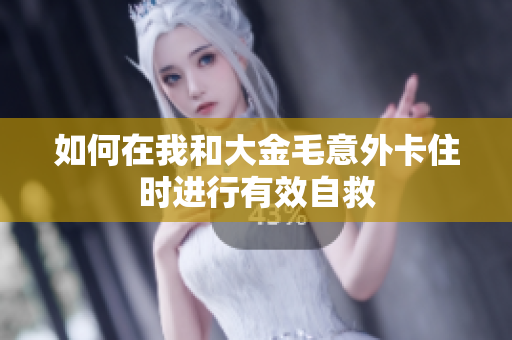 如何在我和大金毛意外卡住时进行有效自救
