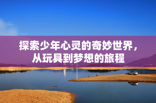 探索少年心灵的奇妙世界，从玩具到梦想的旅程