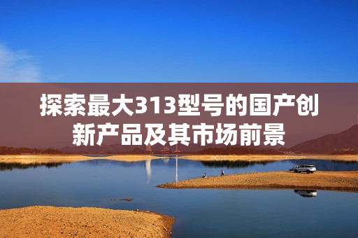 探索最大313型号的国产创新产品及其市场前景