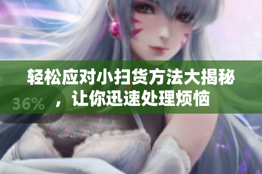 轻松应对小扫货方法大揭秘，让你迅速处理烦恼