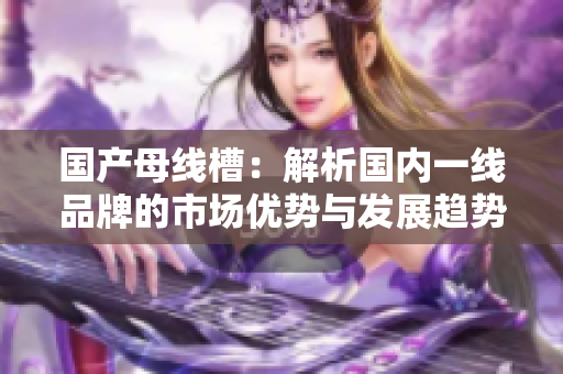 国产母线槽：解析国内一线品牌的市场优势与发展趋势