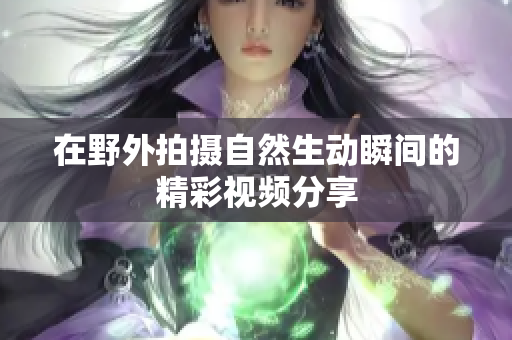 在野外拍摄自然生动瞬间的精彩视频分享