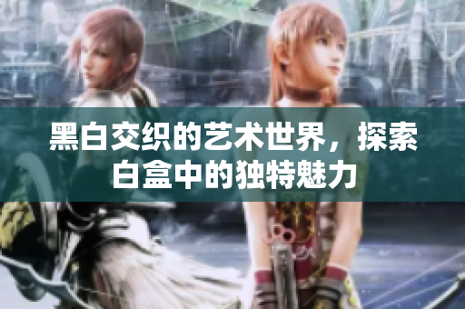 黑白交织的艺术世界，探索白盒中的独特魅力