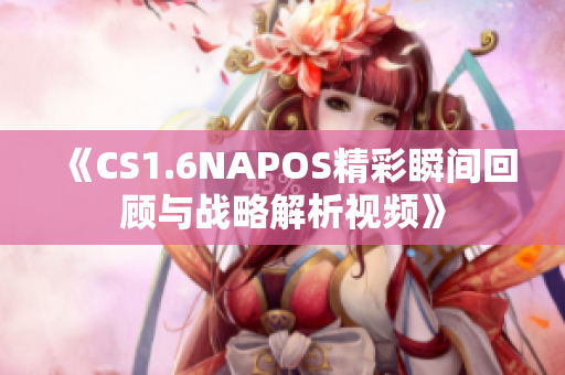 《CS1.6NAPOS精彩瞬间回顾与战略解析视频》