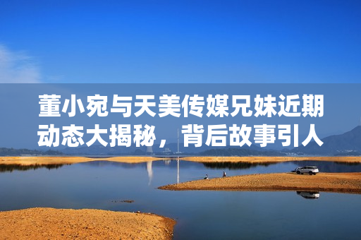 董小宛与天美传媒兄妹近期动态大揭秘，背后故事引人关注