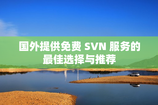 国外提供免费 SVN 服务的最佳选择与推荐