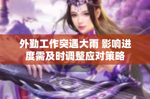 外勤工作突遇大雨 影响进度需及时调整应对策略