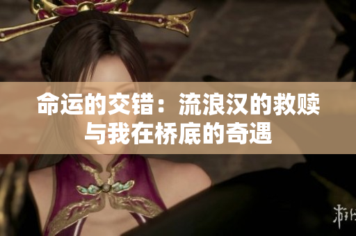 命运的交错：流浪汉的救赎与我在桥底的奇遇