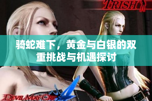 骑蛇难下，黄金与白银的双重挑战与机遇探讨