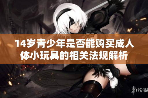 14岁青少年是否能购买成人体小玩具的相关法规解析