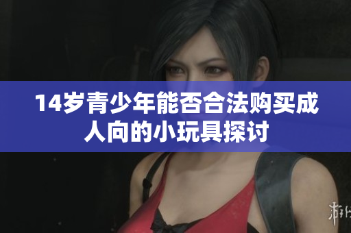 14岁青少年能否合法购买成人向的小玩具探讨