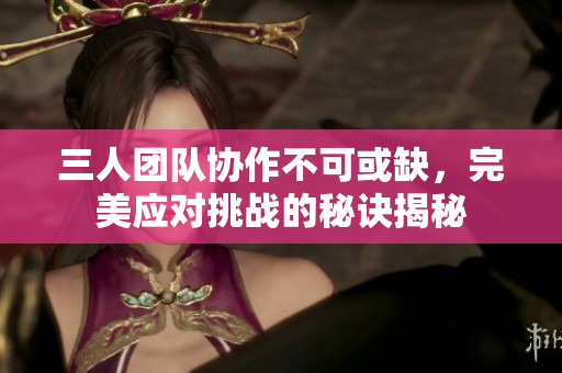 三人团队协作不可或缺，完美应对挑战的秘诀揭秘