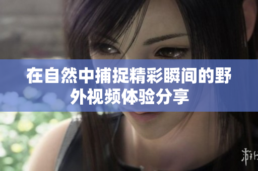 在自然中捕捉精彩瞬间的野外视频体验分享