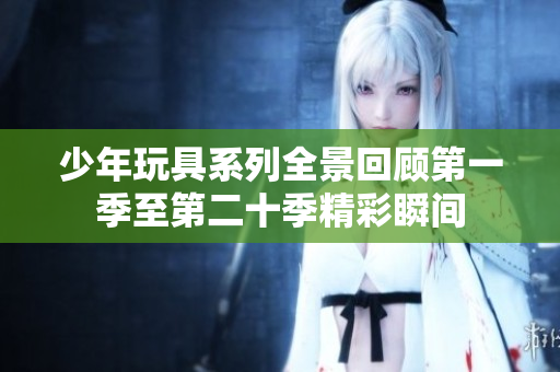 少年玩具系列全景回顾第一季至第二十季精彩瞬间