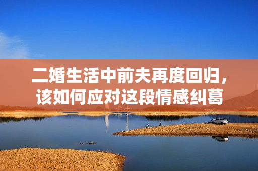 二婚生活中前夫再度回归，该如何应对这段情感纠葛