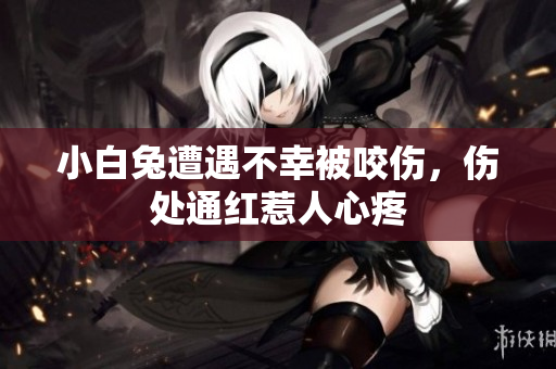 小白兔遭遇不幸被咬伤，伤处通红惹人心疼