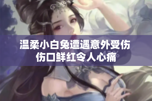 温柔小白兔遭遇意外受伤 伤口鲜红令人心痛