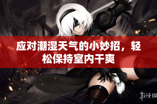 应对潮湿天气的小妙招，轻松保持室内干爽