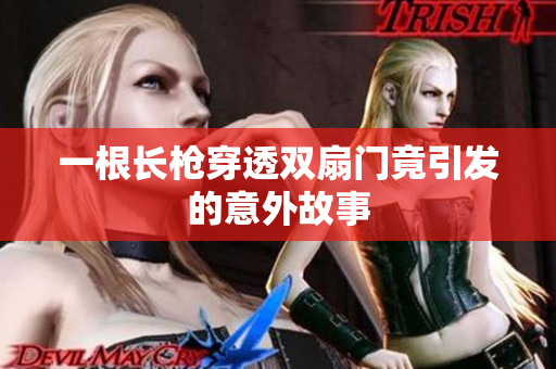 一根长枪穿透双扇门竟引发的意外故事