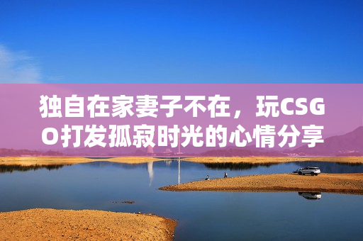 独自在家妻子不在，玩CSGO打发孤寂时光的心情分享