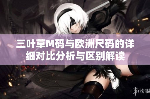 三叶草M码与欧洲尺码的详细对比分析与区别解读