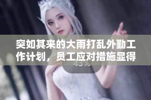突如其来的大雨打乱外勤工作计划，员工应对措施显得尤为重要