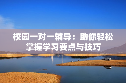校园一对一辅导：助你轻松掌握学习要点与技巧