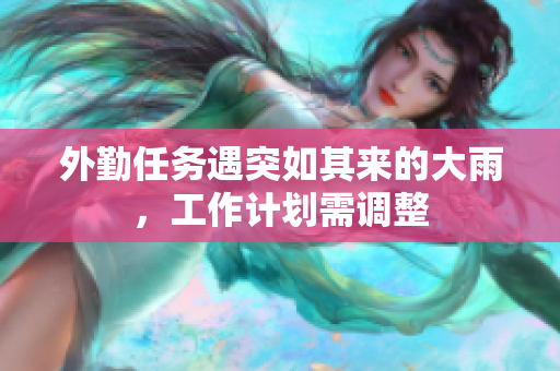 外勤任务遇突如其来的大雨，工作计划需调整