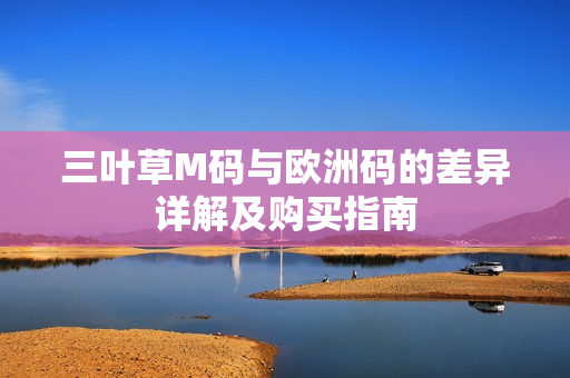 三叶草M码与欧洲码的差异详解及购买指南