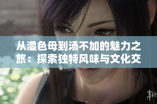 从澧色母到汤不加的魅力之旅：探索独特风味与文化交融
