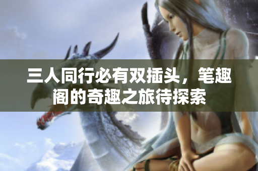 三人同行必有双插头，笔趣阁的奇趣之旅待探索