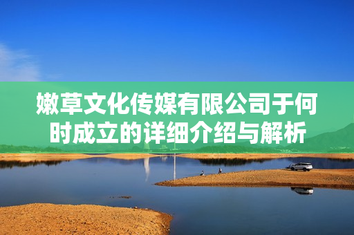 嫩草文化传媒有限公司于何时成立的详细介绍与解析