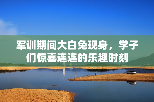 军训期间大白兔现身，学子们惊喜连连的乐趣时刻
