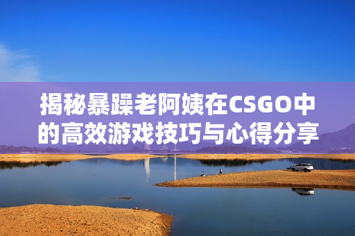 揭秘暴躁老阿姨在CSGO中的高效游戏技巧与心得分享