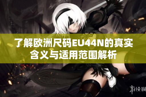 了解欧洲尺码EU44N的真实含义与适用范围解析