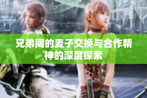 兄弟间的麦子交换与合作精神的深度探索