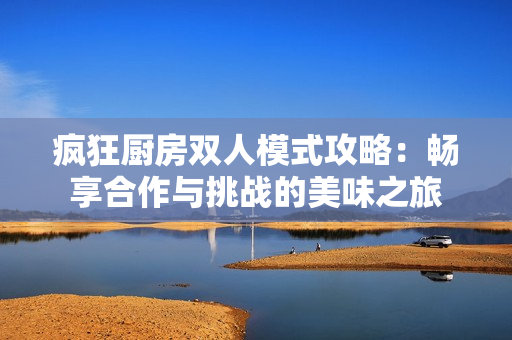 疯狂厨房双人模式攻略：畅享合作与挑战的美味之旅