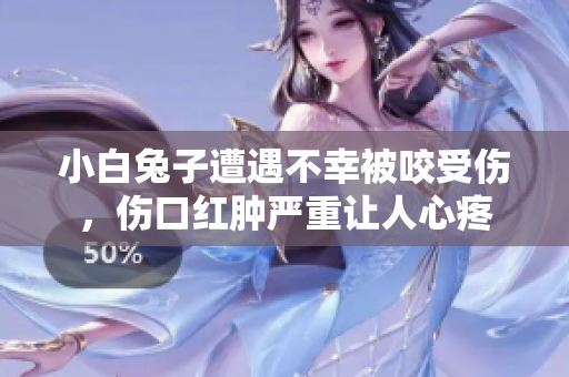 小白兔子遭遇不幸被咬受伤，伤口红肿严重让人心疼