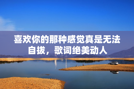 喜欢你的那种感觉真是无法自拔，歌词绝美动人