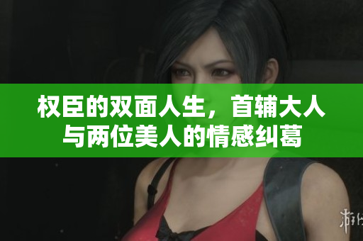 权臣的双面人生，首辅大人与两位美人的情感纠葛