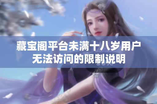 藏宝阁平台未满十八岁用户无法访问的限制说明