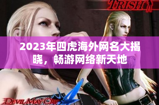 2023年四虎海外网名大揭晓，畅游网络新天地