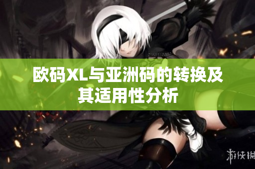 欧码XL与亚洲码的转换及其适用性分析