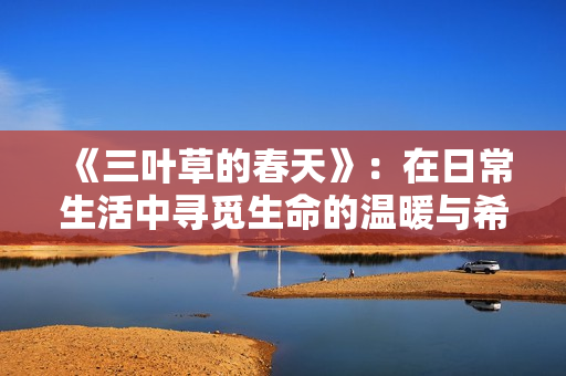 《三叶草的春天》：在日常生活中寻觅生命的温暖与希望