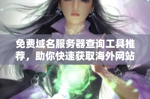 免费域名服务器查询工具推荐，助你快速获取海外网站信息